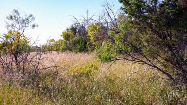 Strawn, TX 76475,TBD Big Country Trail