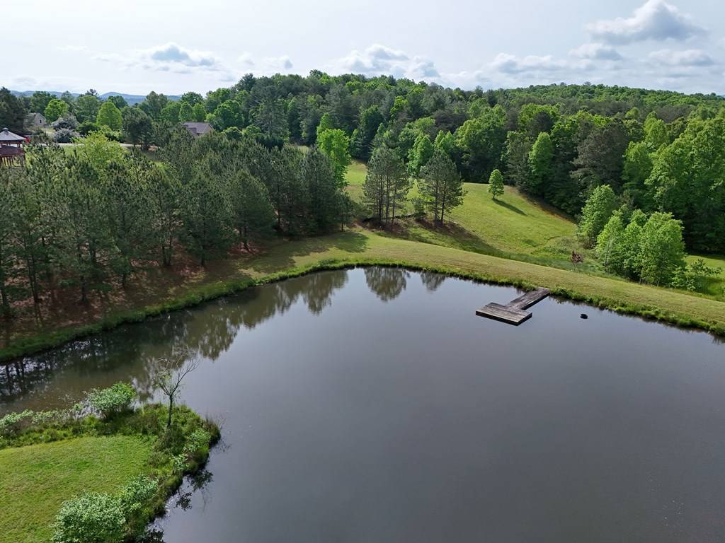 Morganton, GA 30560,LT 18/19 Pond Overlook Lane