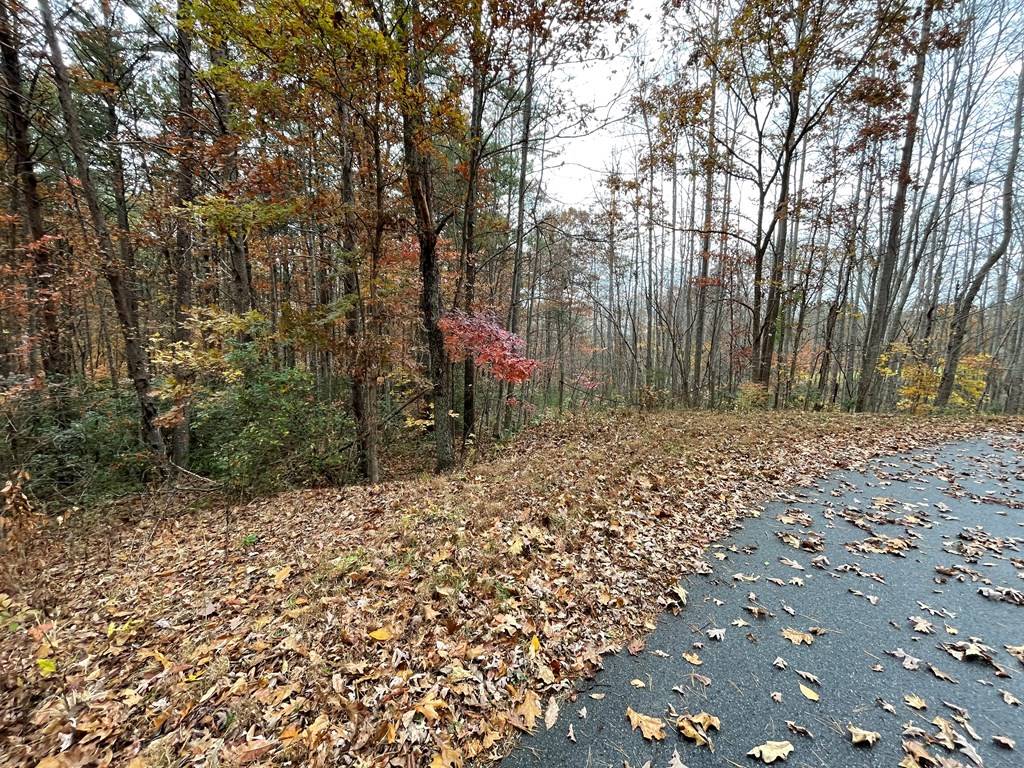 Blairsville, GA 30512,Lot 20 Hamilton Road