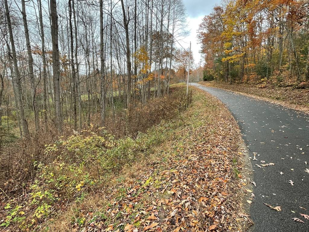 Blairsville, GA 30512,Lot 20 Hamilton Road