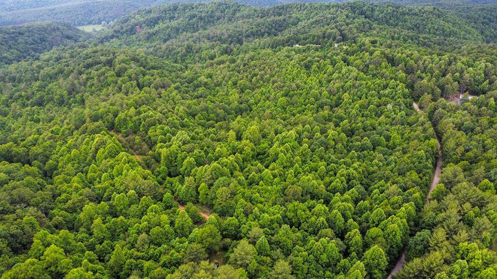 Galax, VA 24333,TBD Long Bow