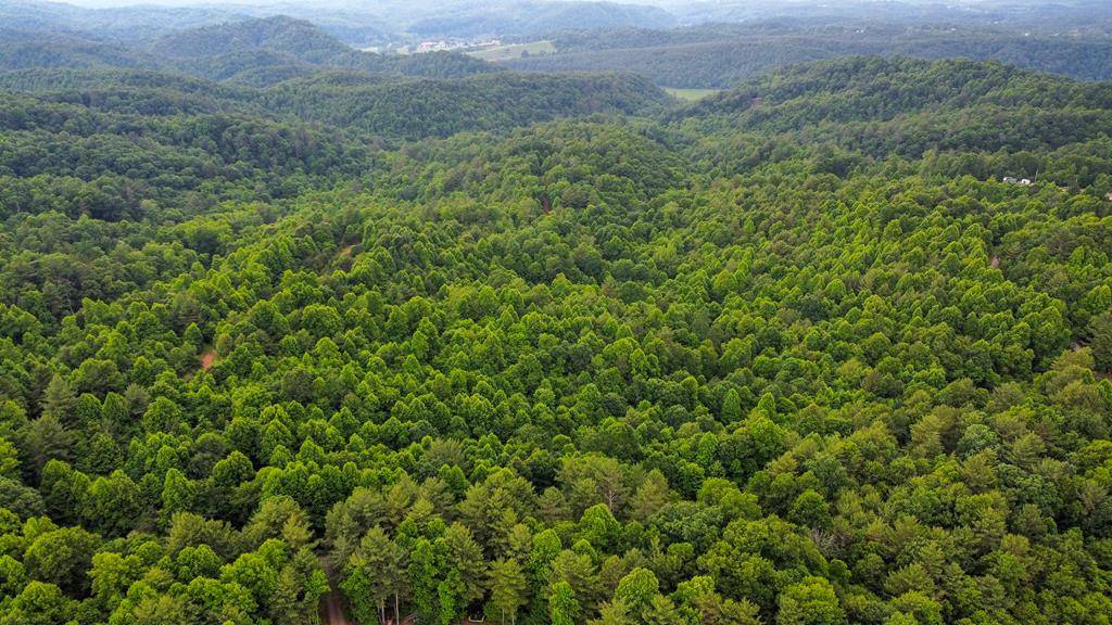 Galax, VA 24333,TBD Long Bow