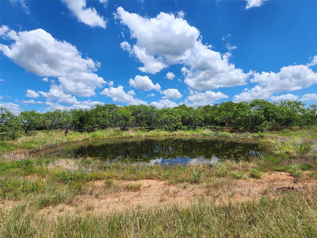 Carbon, TX 76435,TBD CR 183