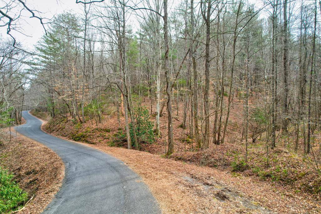 Ellijay, GA 30536,TR 6 Old Bucktown Road