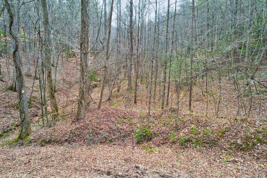 Ellijay, GA 30536,TR 6 Old Bucktown Road