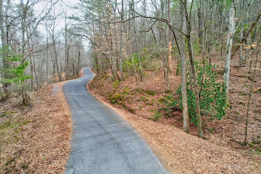 Ellijay, GA 30536,TR 6 Old Bucktown Road