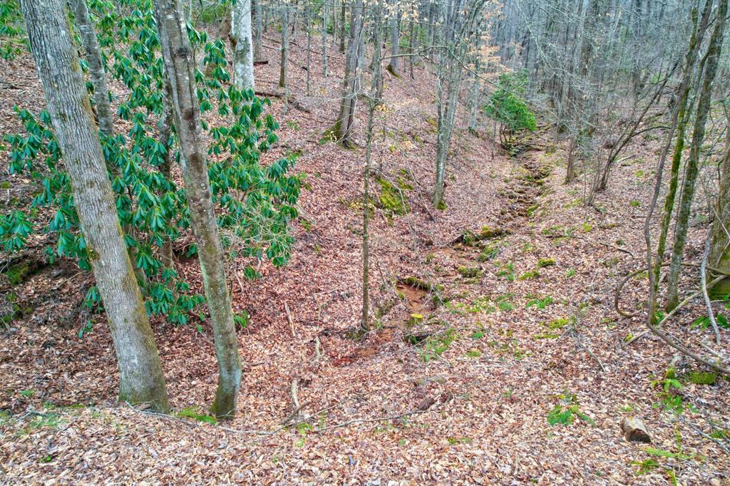 Ellijay, GA 30536,TR 6 Old Bucktown Road