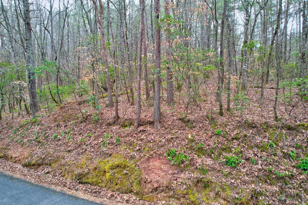 Ellijay, GA 30536,TR 6 Old Bucktown Road