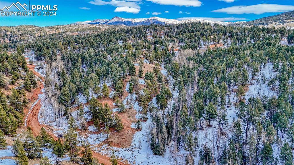 Cripple Creek, CO 80813,204 Idlewild DR