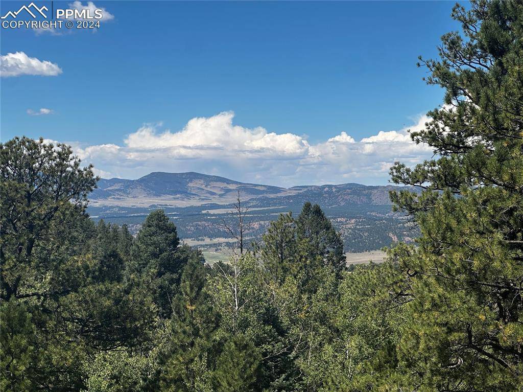 Cripple Creek, CO 80813,Lot 12 Spring Canyon Ranch RD