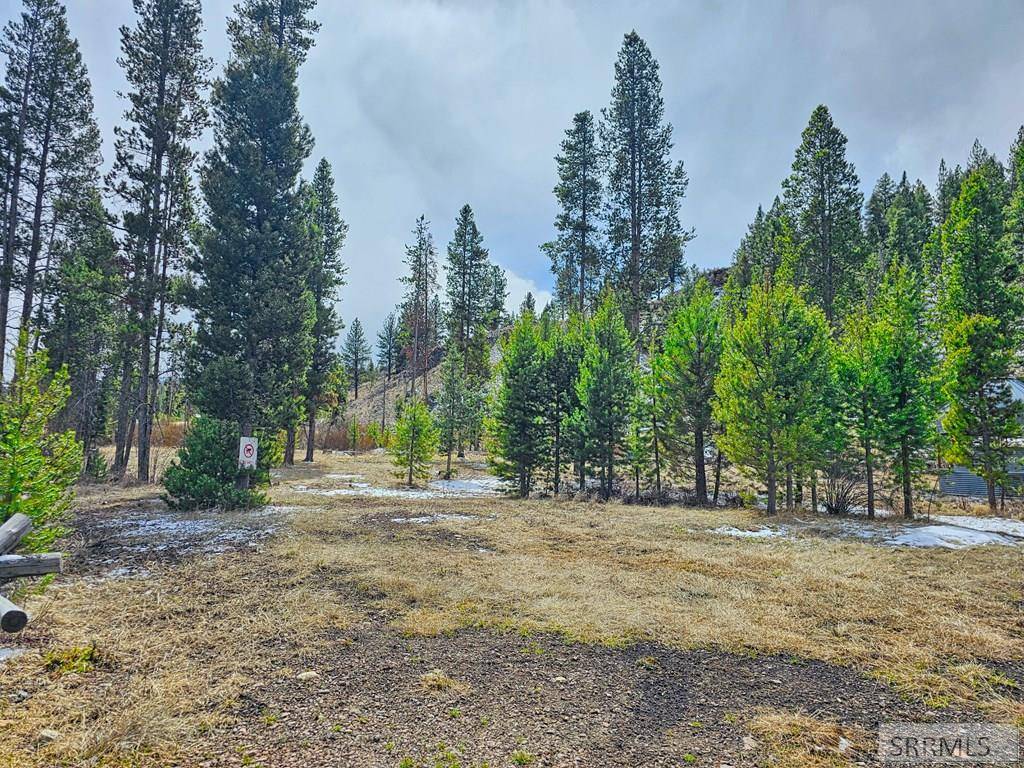 Shoup, ID 83469,3571 Panther Creek Road