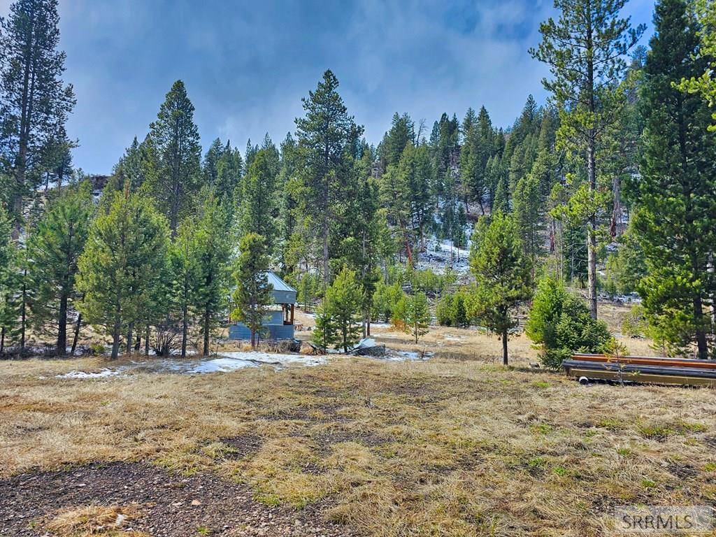 Shoup, ID 83469,3571 Panther Creek Road