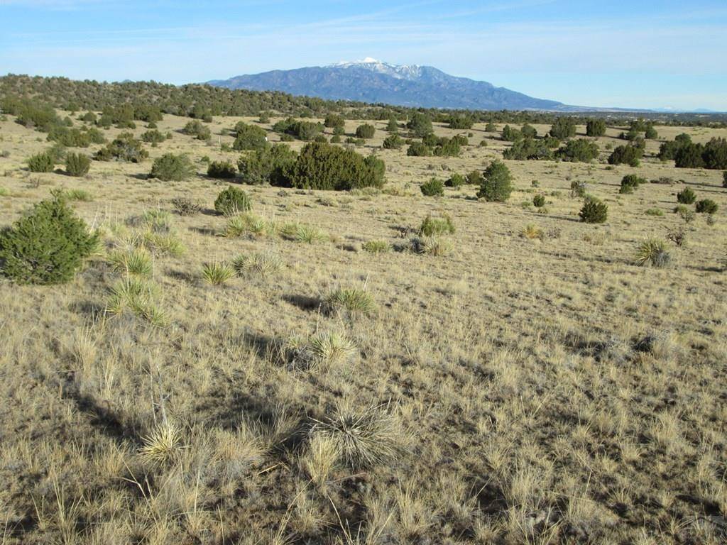 Walsenburg, CO 81089,lot 19 Rio Cucharas