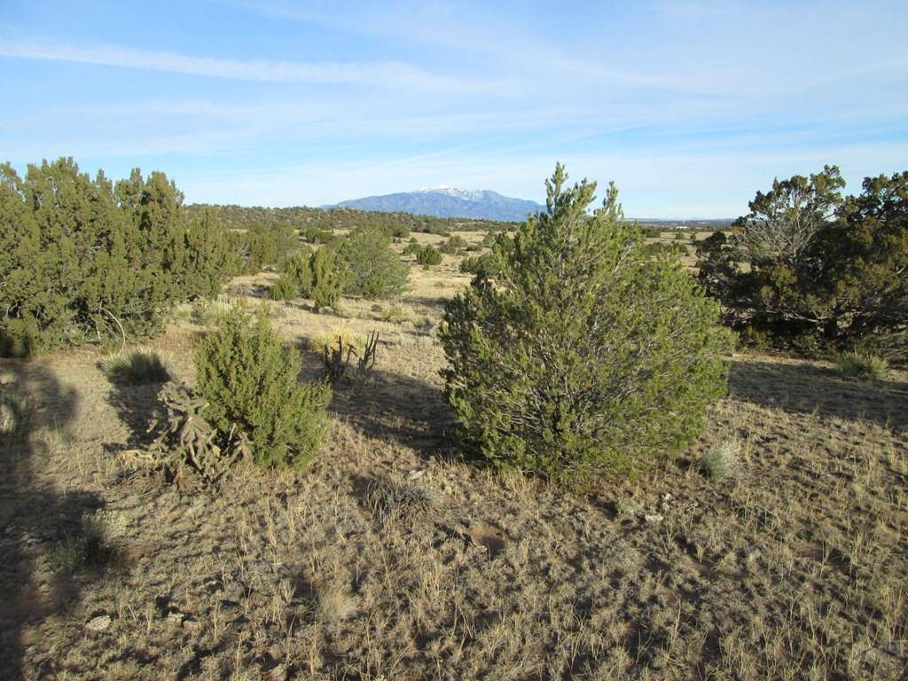 Walsenburg, CO 81089,lot 19 Rio Cucharas