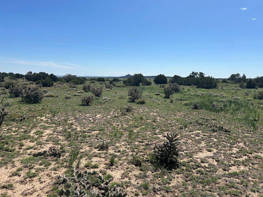 Walsenburg, CO 81089,lot 19 Rio Cucharas