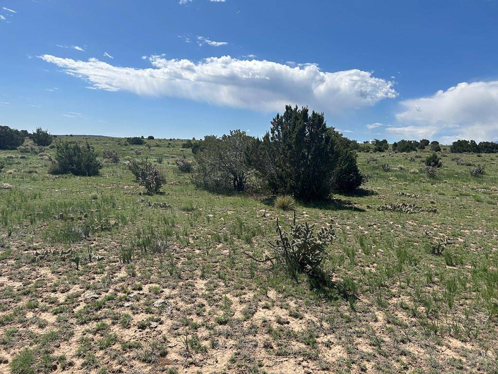 Walsenburg, CO 81089,lot 19 Rio Cucharas