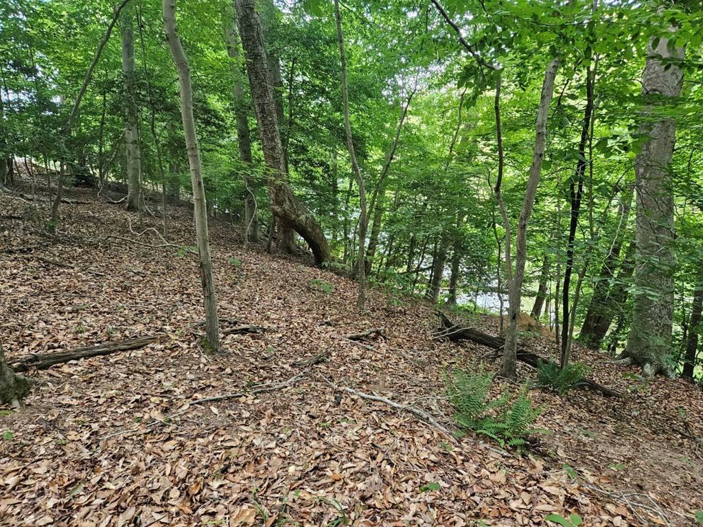 Montross, VA 22524,Lot 50 Lightfoot DR