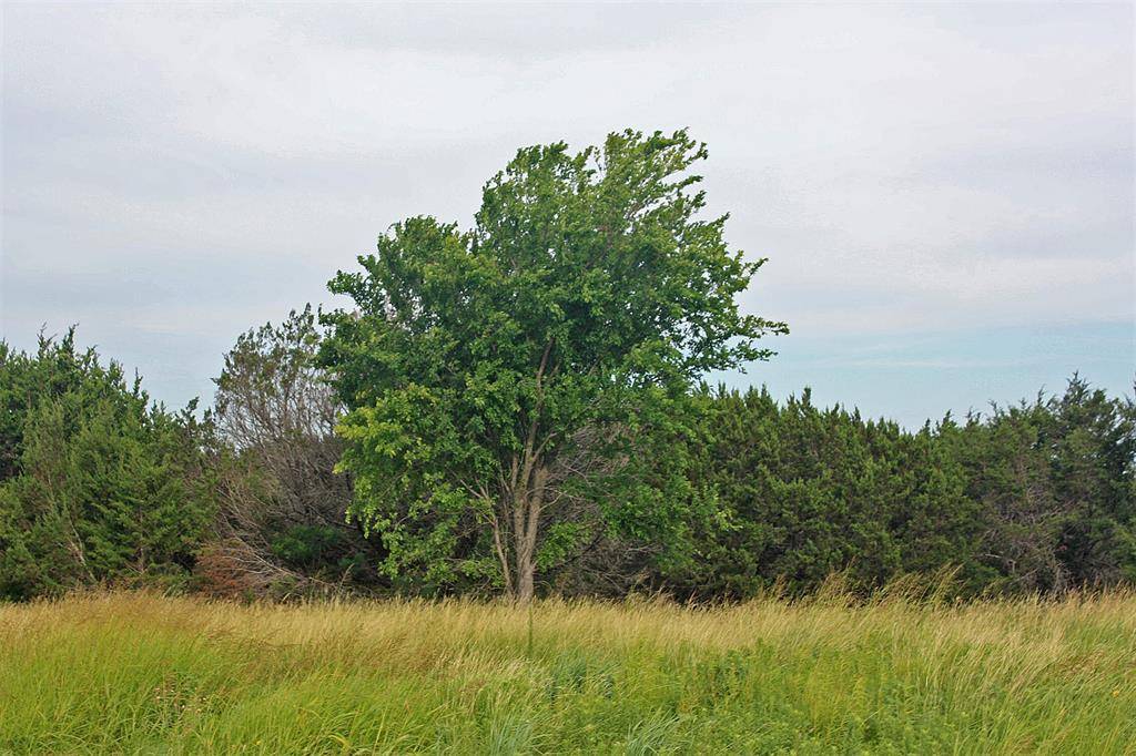 Nemo, TX 76070,Lot 1 Mary Kay Court