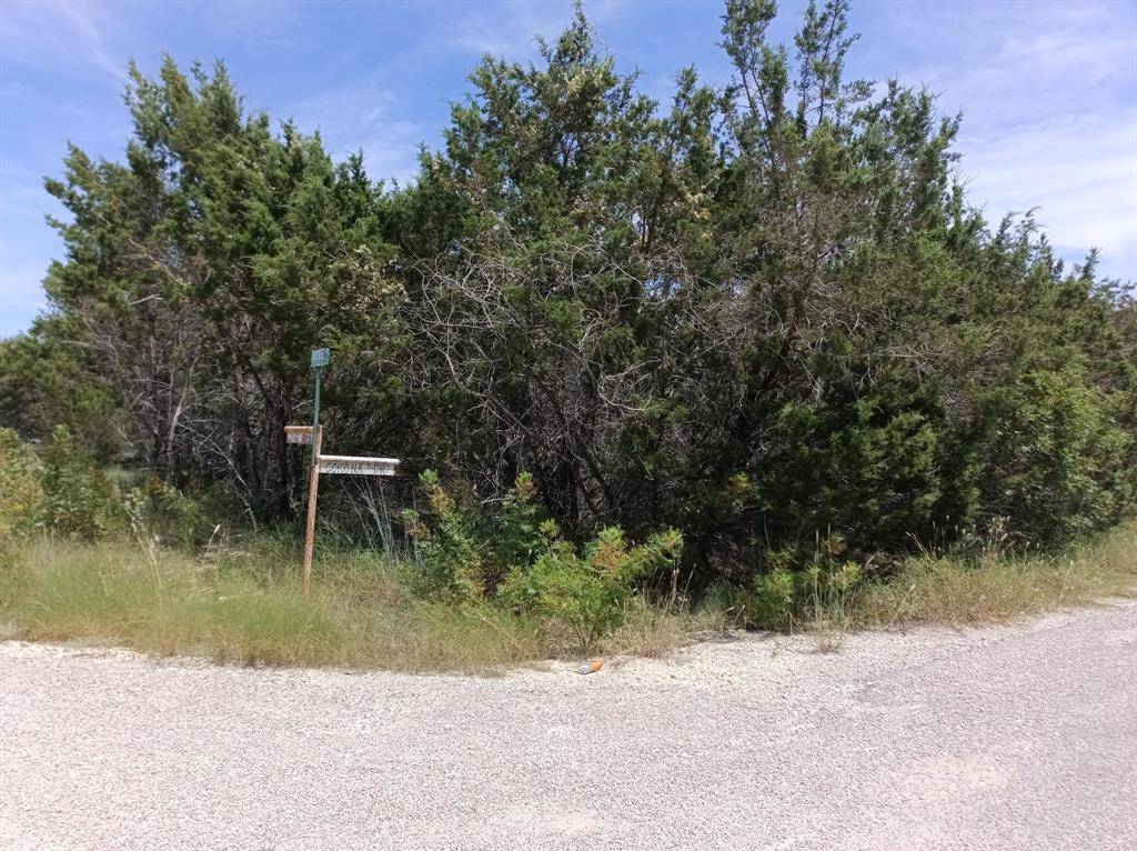 Granbury, TX 76048,2621 Dove Trail