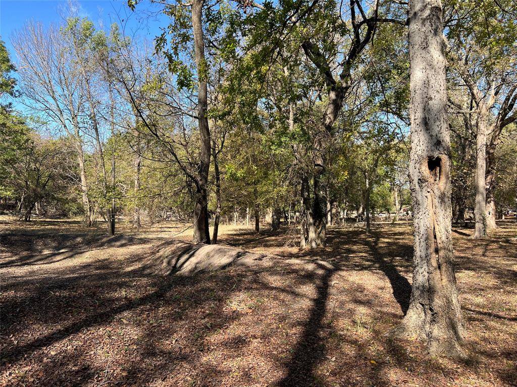 Bonham, TX 75418,0000 S Fm 271