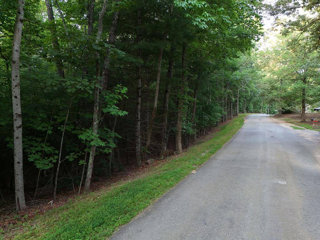 Blairsville, GA 30512,1 acre Jones Road