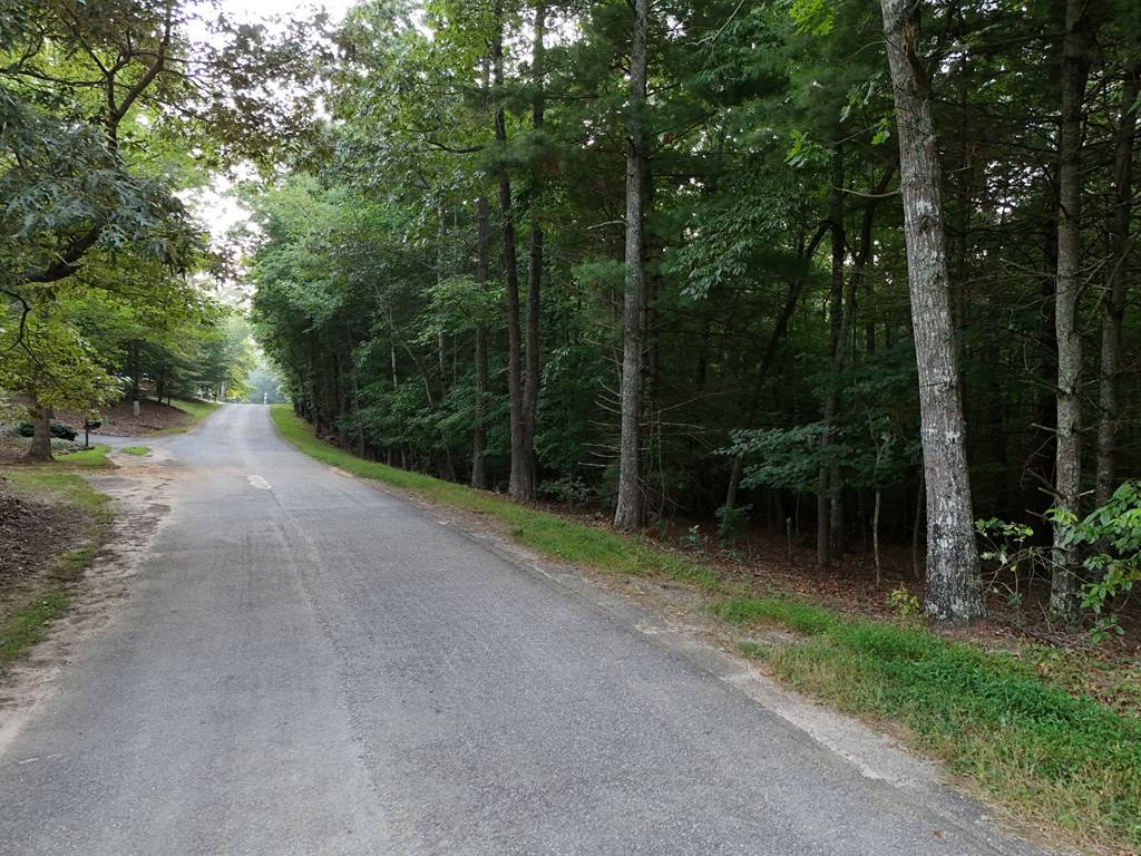 Blairsville, GA 30512,1 acre Jones Road