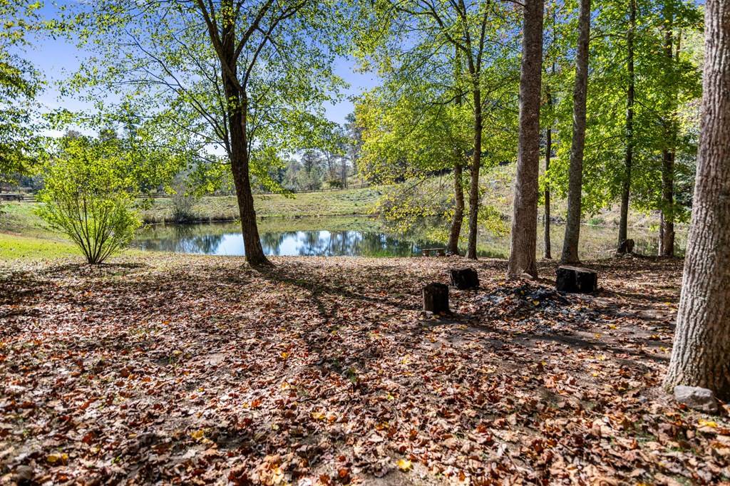 Mineral Bluff, GA 30559,281 Autumn Road