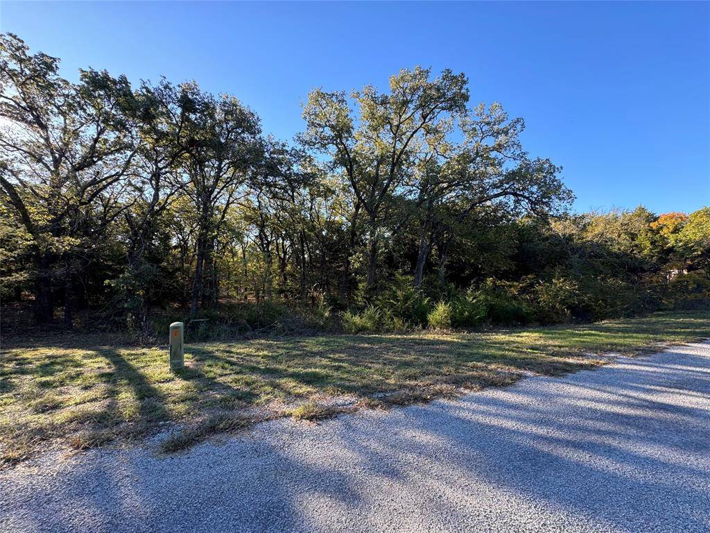 Tioga, TX 76271,20 Timber Trail