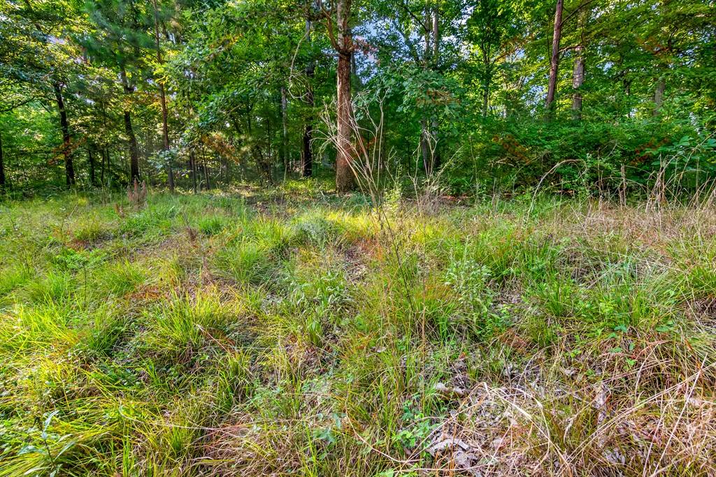 Ellijay, GA 30540,lot 6 Mission Hill