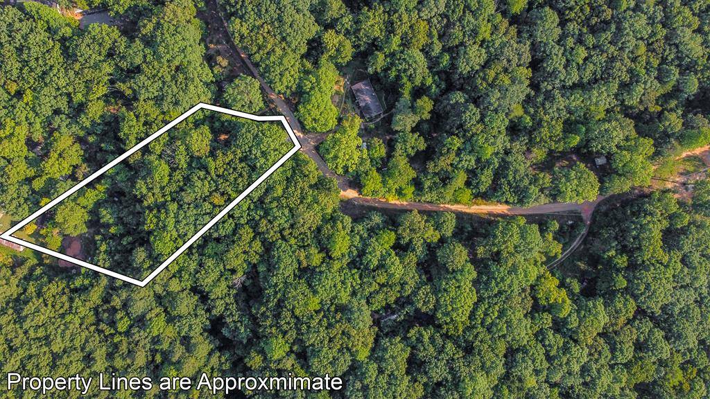 Ellijay, GA 30540,lot 6 Mission Hill