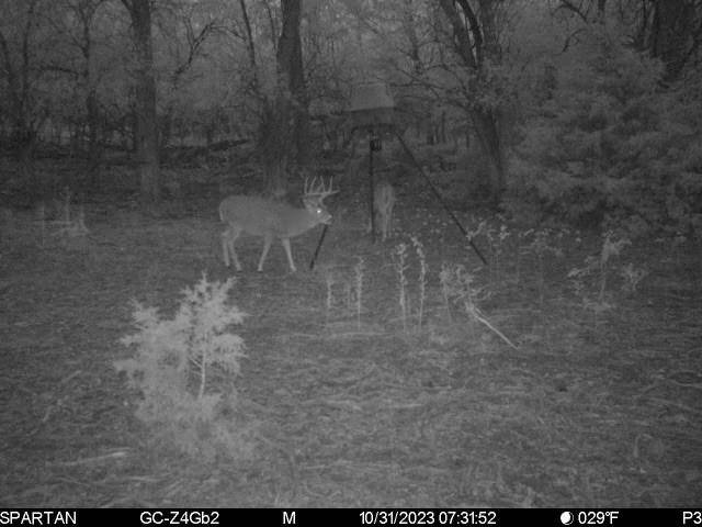 Granite, OK 73547,0 E County Road 1340 Road