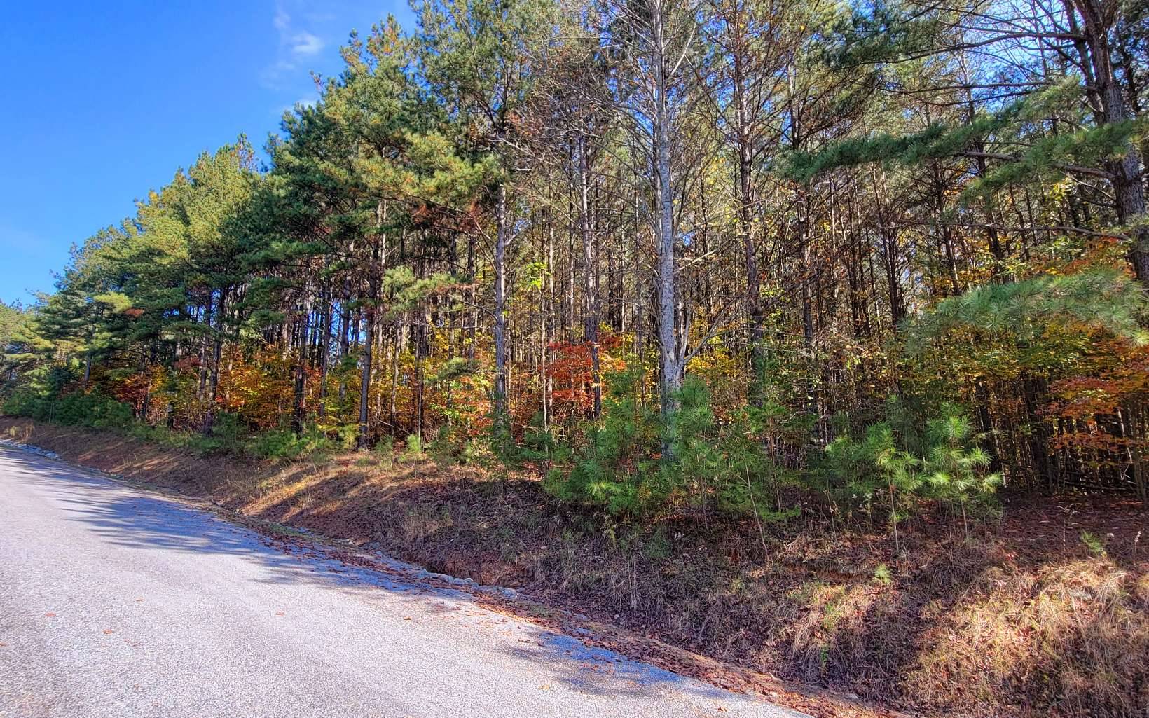 Ellijay, GA 30536,LOT 6 Black Bear Ridge Road