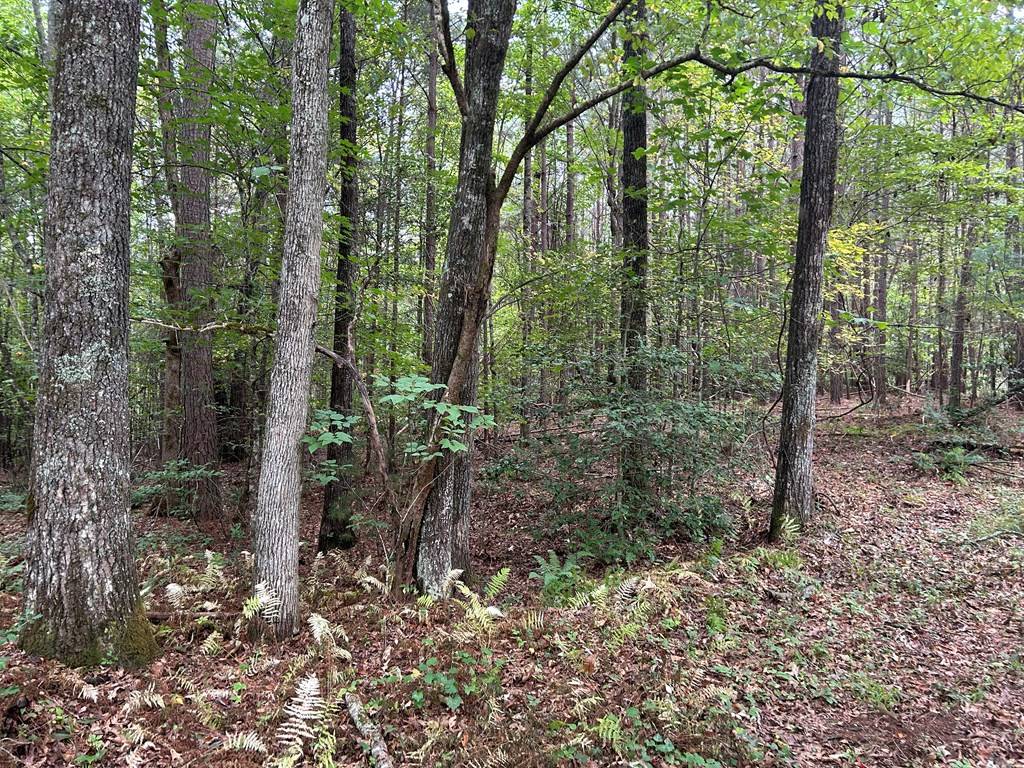 Mccaysville, GA 30555,21.43AC Blue Tick Road