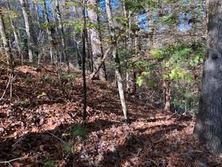 Ellijay, GA 30540,00 Nexus Drive