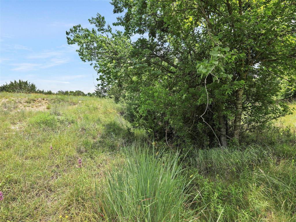 Weatherford, TX 76088,TBD Ellis Road