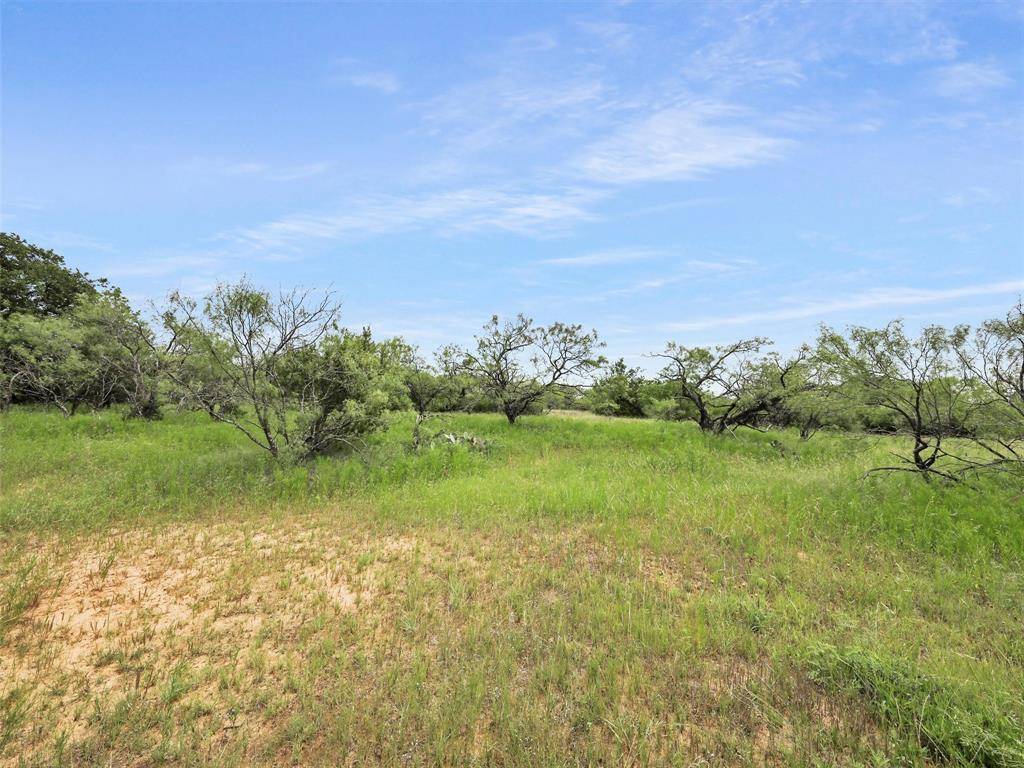 Weatherford, TX 76088,TBD Ellis Road