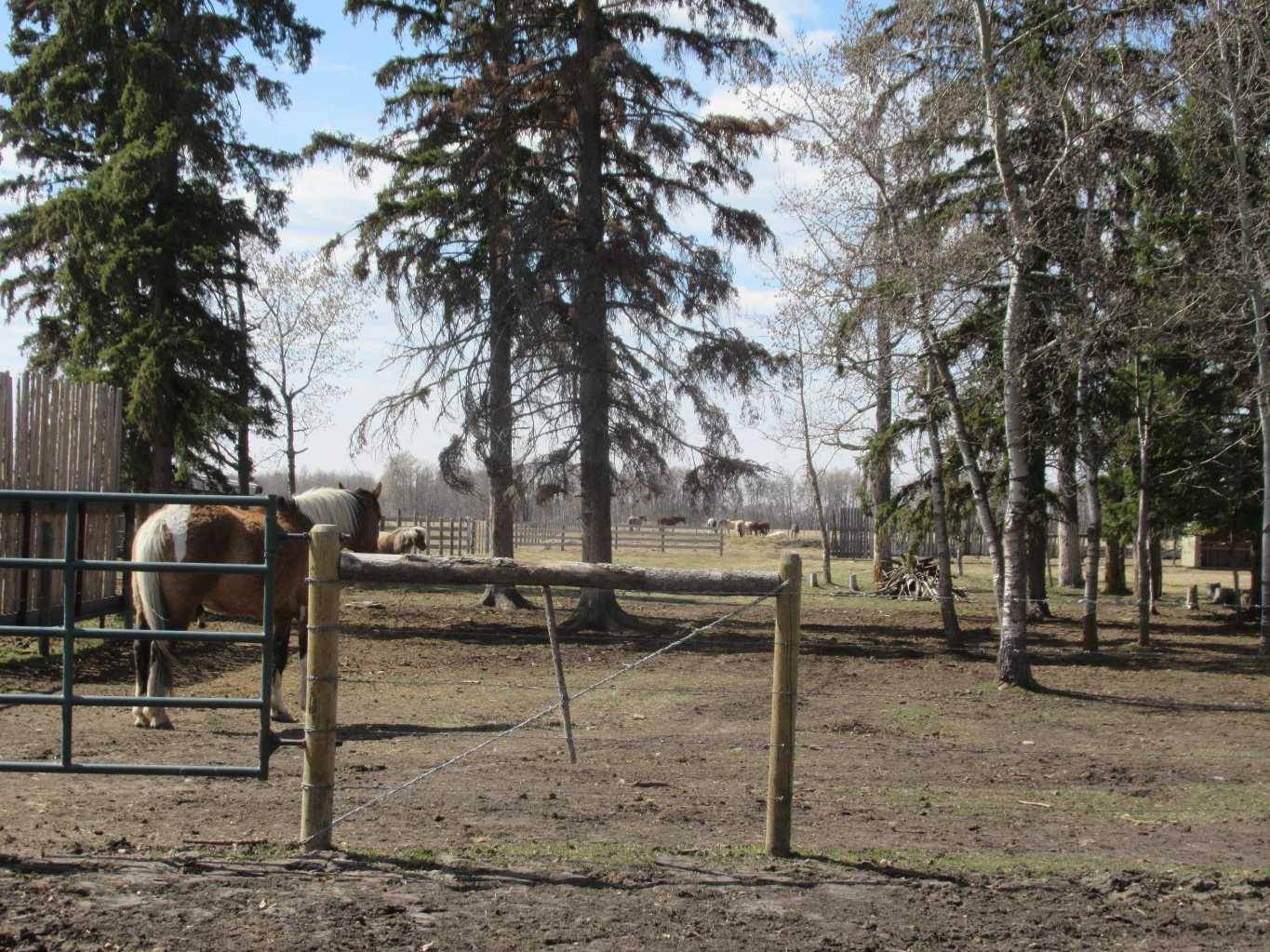 Rural Clearwater County, AB T0M 0C0,392066 6-0 Range Road