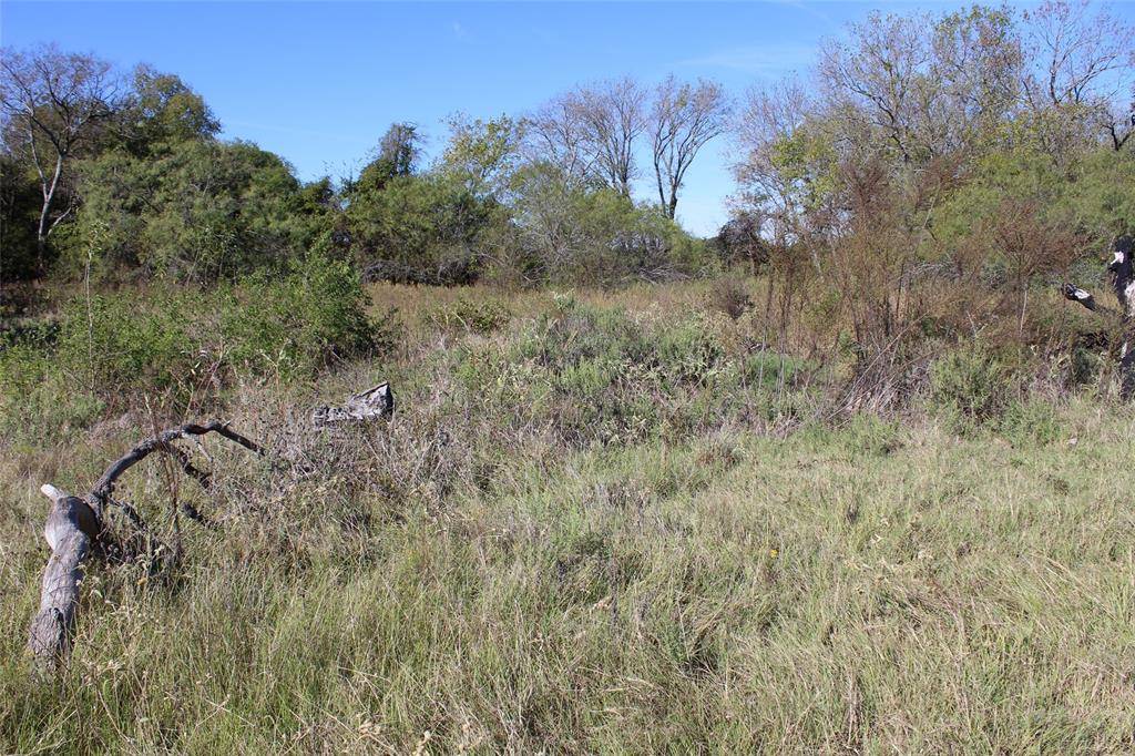 Scurry, TX 75158,11611 CR 4079