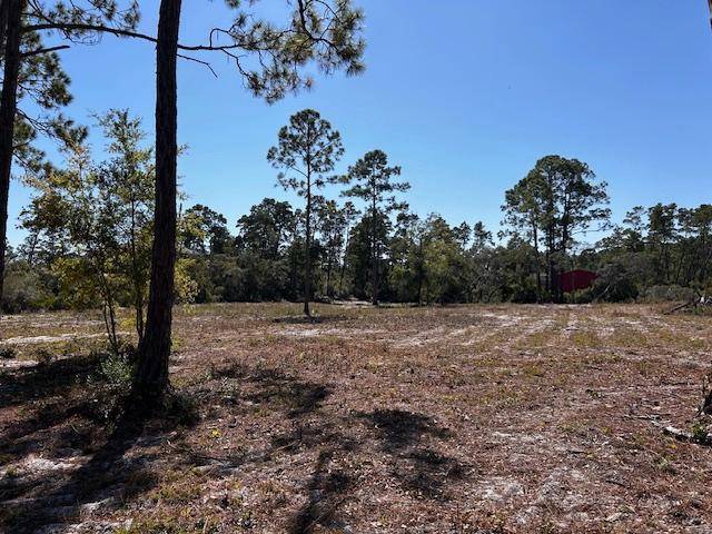 Carrabelle, FL 32322,132 Timber Island Rd