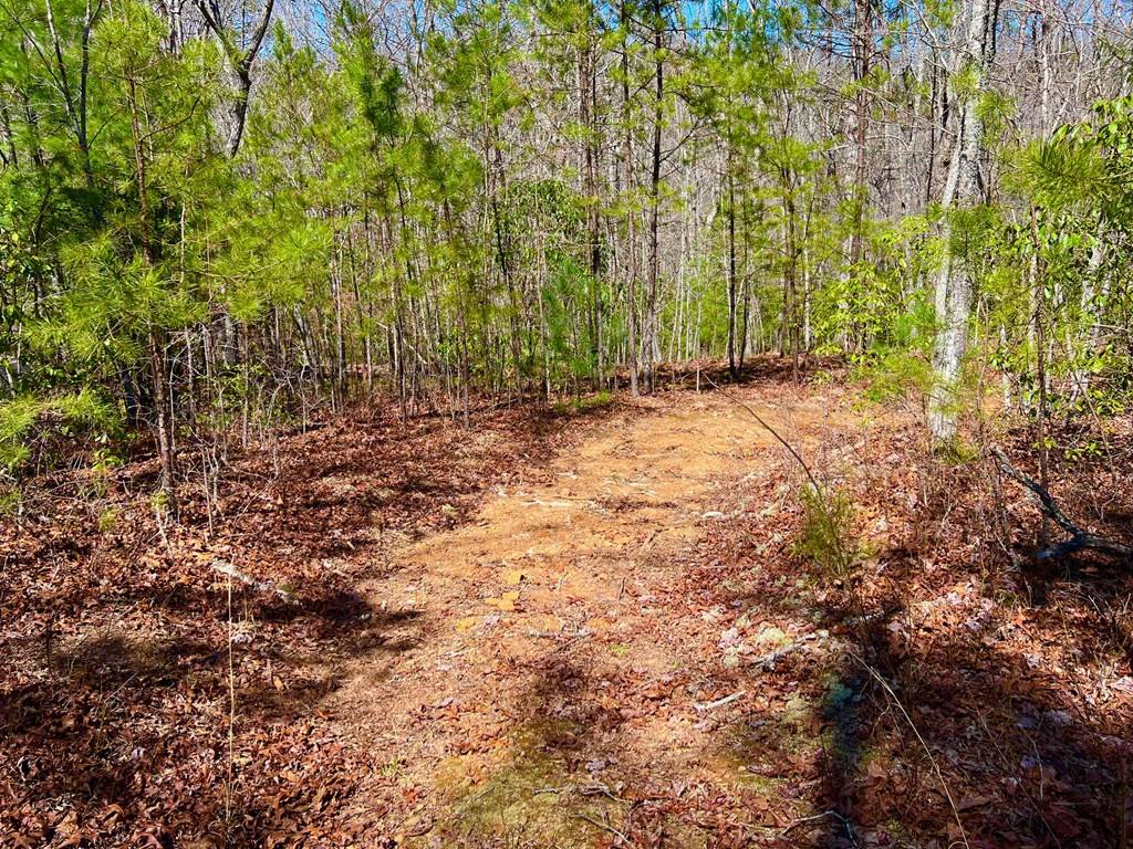 Morganton, GA 30560,12.64 AC Voylestown Road