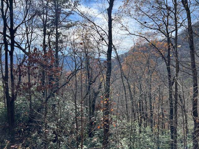 Hiawassee, GA 30546,Lot 19 The Highlands