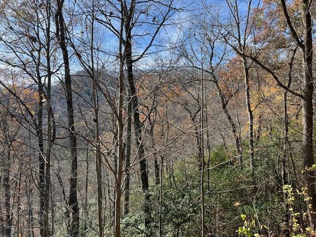 Hiawassee, GA 30546,Lot 19 The Highlands