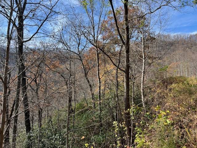 Hiawassee, GA 30546,Lot 19 The Highlands