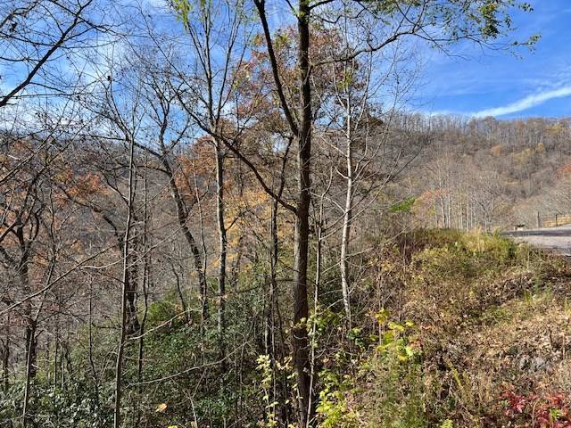 Hiawassee, GA 30546,Lot 19 The Highlands