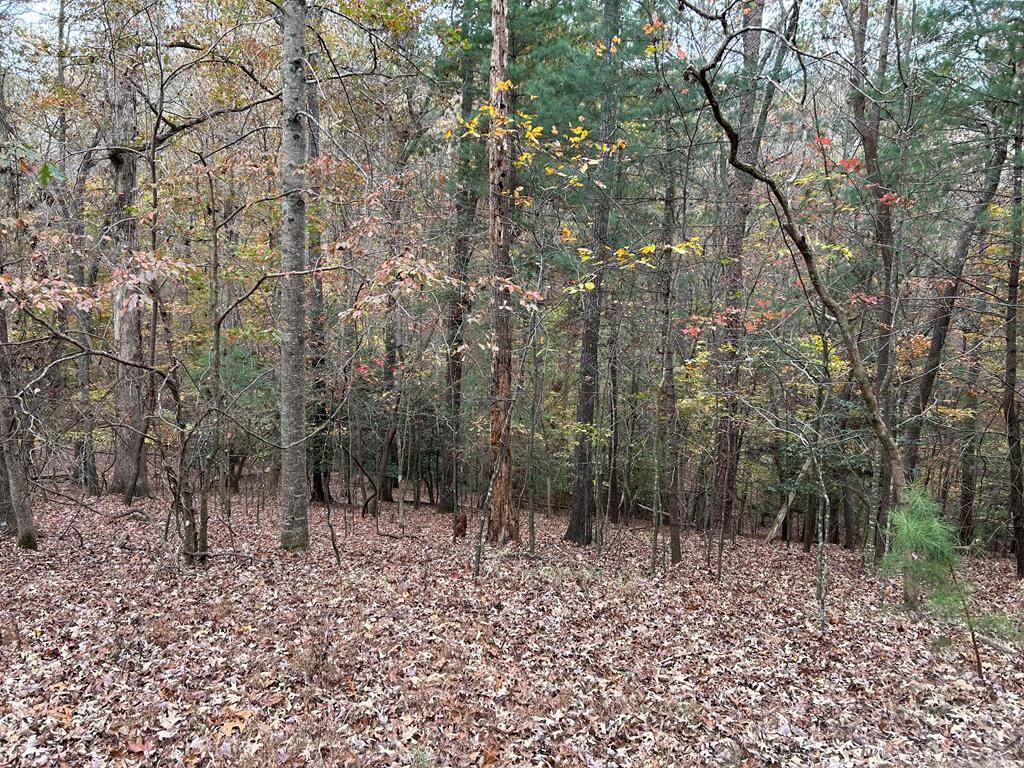 Ellijay, GA 30540,Lot 164, Foxhound Drive