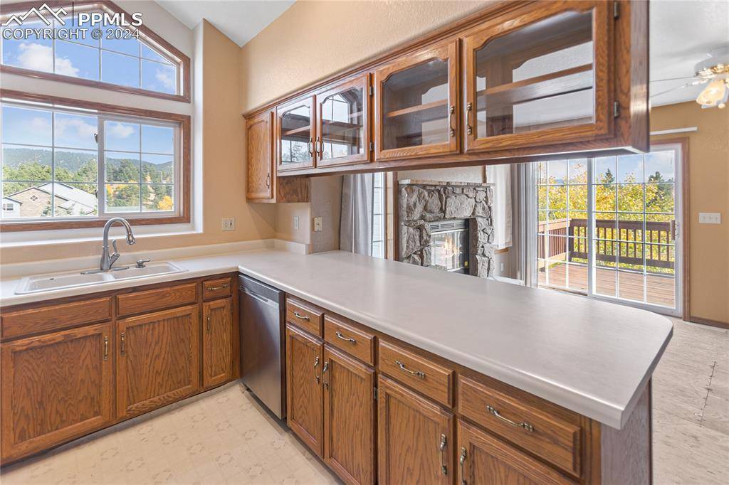 Woodland Park, CO 80863,811 Red Eagle CT