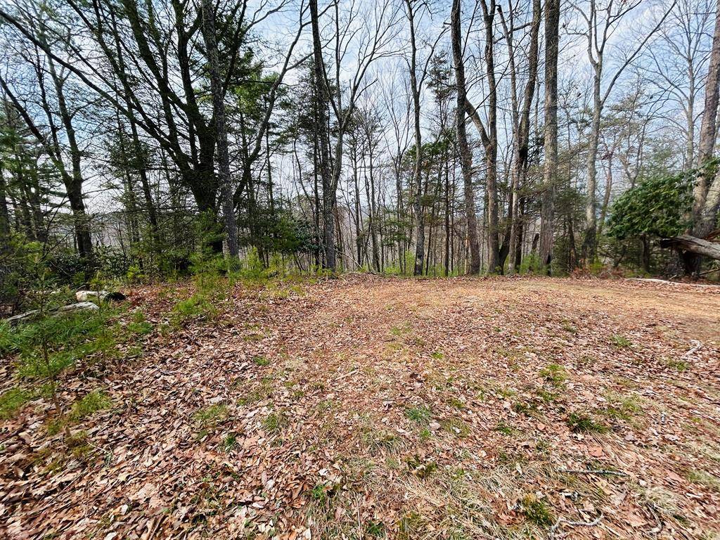 Dugspur, VA 24325,Lot 19 Chestnut Oak Lane