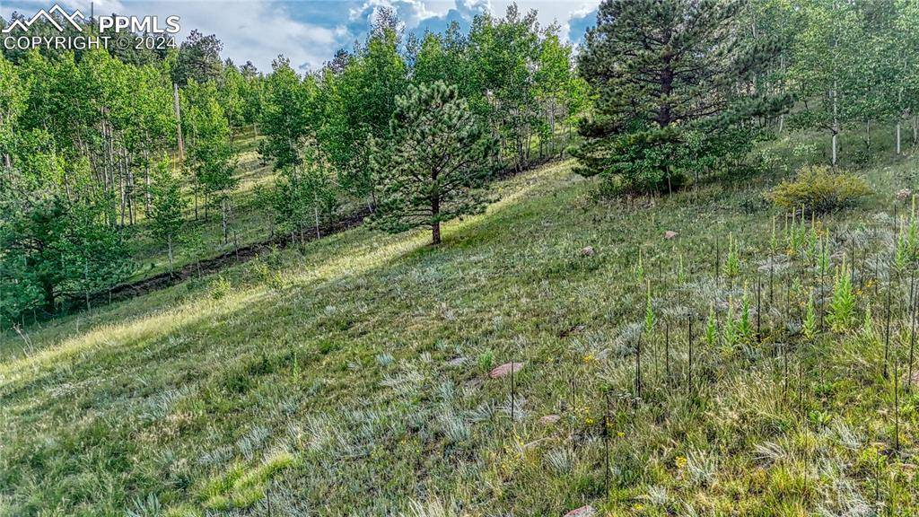 Cripple Creek, CO 80813,1325 Penrose CIR