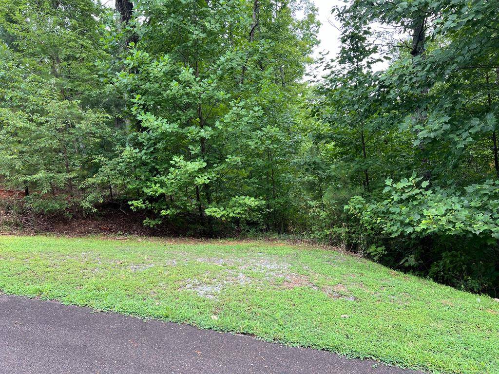 Ellijay, GA 30540,000 Harris Creek Drive