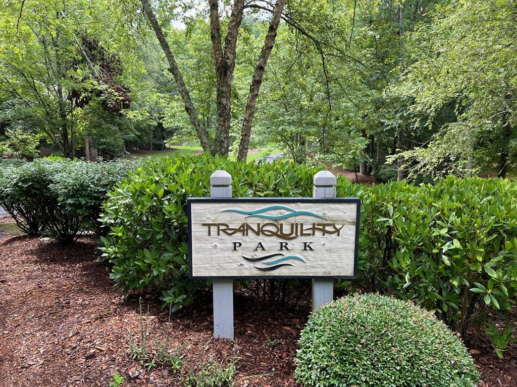 Ellijay, GA 30540,000 Harris Creek Drive